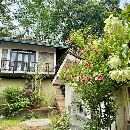 Dosemo Cabana 인두루와 외부 사진